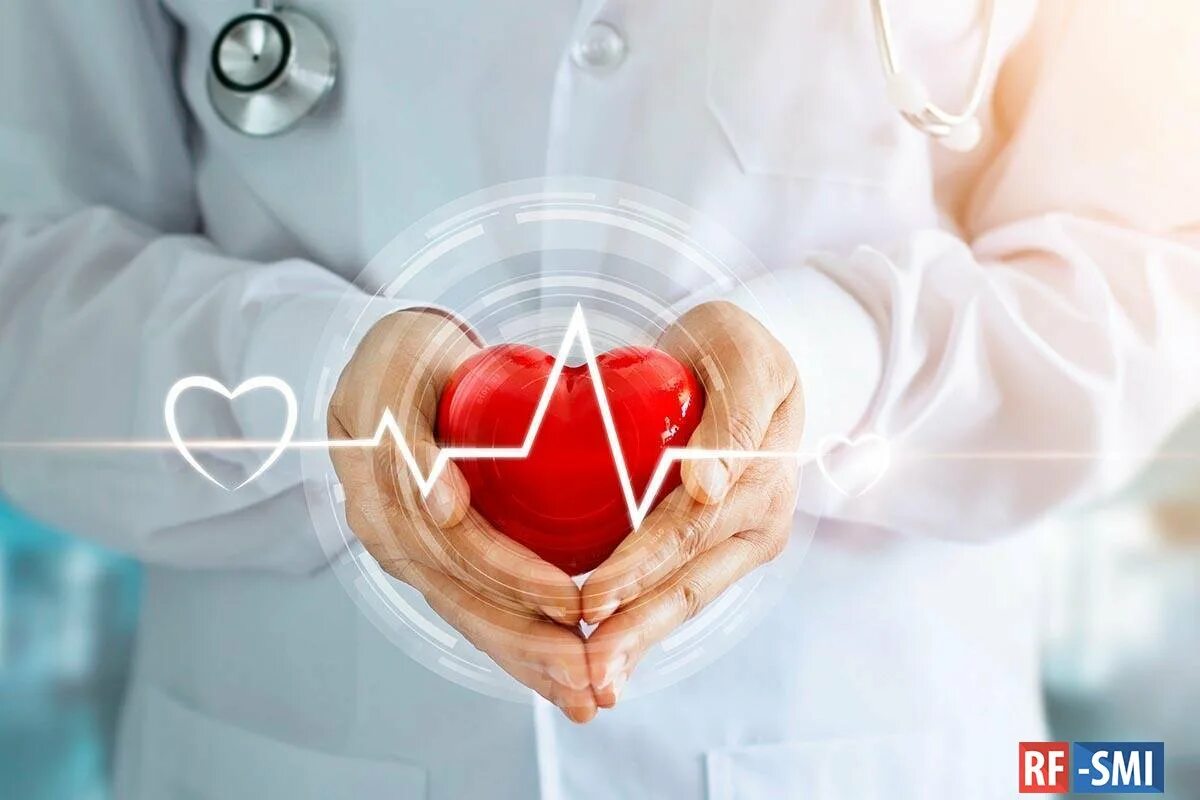 Врач занимающийся сердцем. Сердечно-сосудистые заболевания. Здоровое сердце. День кардиолога. Сердце в руках врача.