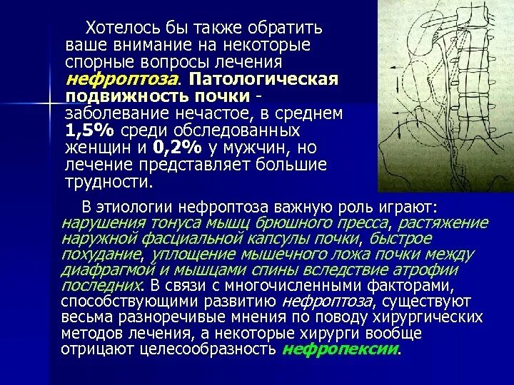 Подвижность правой почки. Определение подвижности почек. патологическая подвижность почки. избыточная подвижность почки.