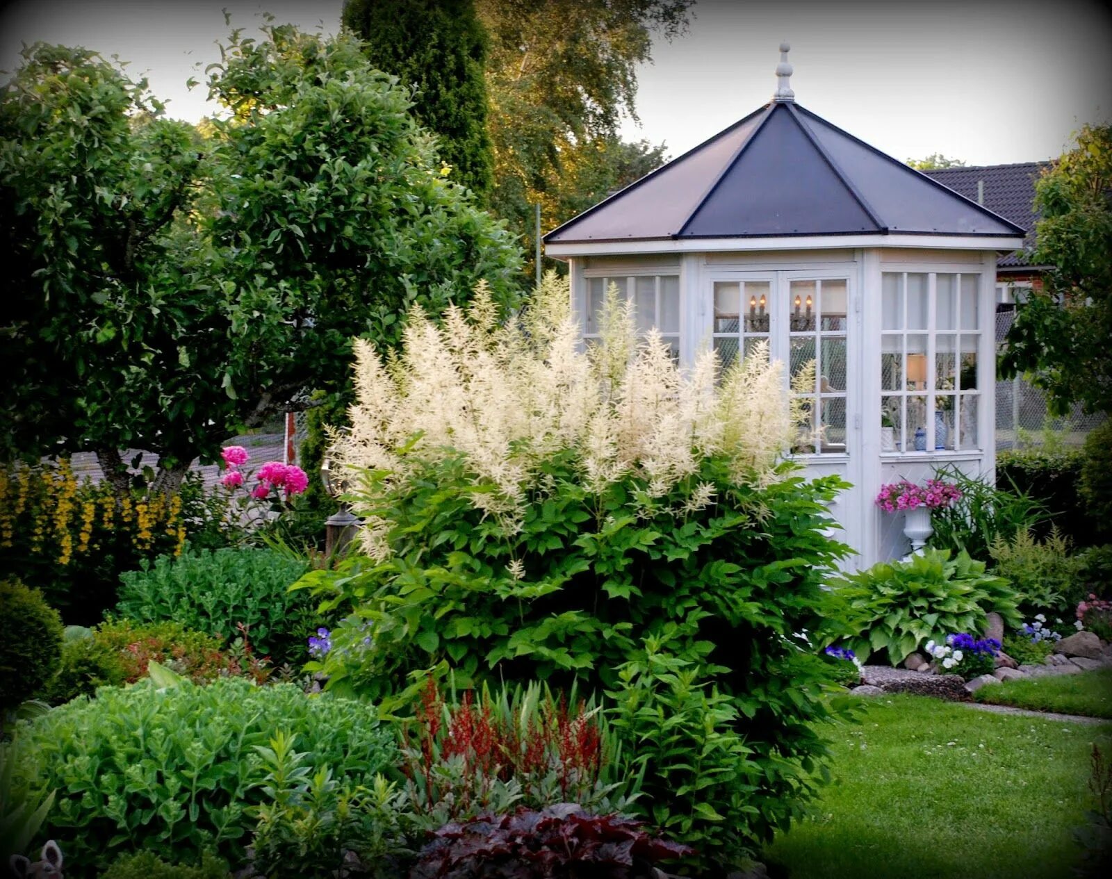Byliny cieniolubne Garden, Outdoor garden, Plants