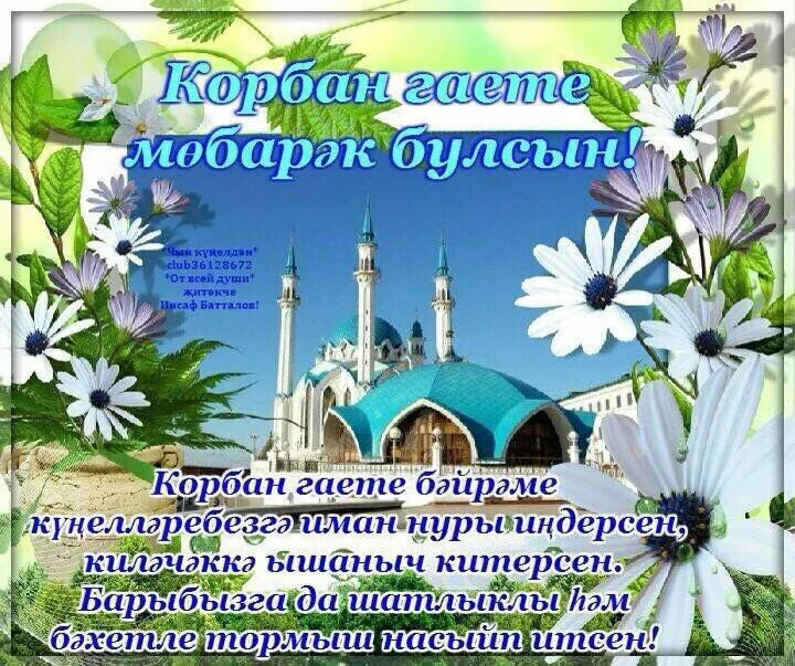 Открытки корбан бэйрэме белэн котлау на татарском. Открытки корбан бэйрэме белэн котлау на татарском. Курбан-байрам открытки поздравительные. Картинки корбан бэйрэме. Корбан гаете открытки.
