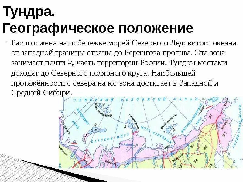 Географическое положение арктической тундры. Географическое положение зоны тундры в россии. географическое положение зоны тундры. гео положение тундры. географическое положение лесотундры в россии на карте.