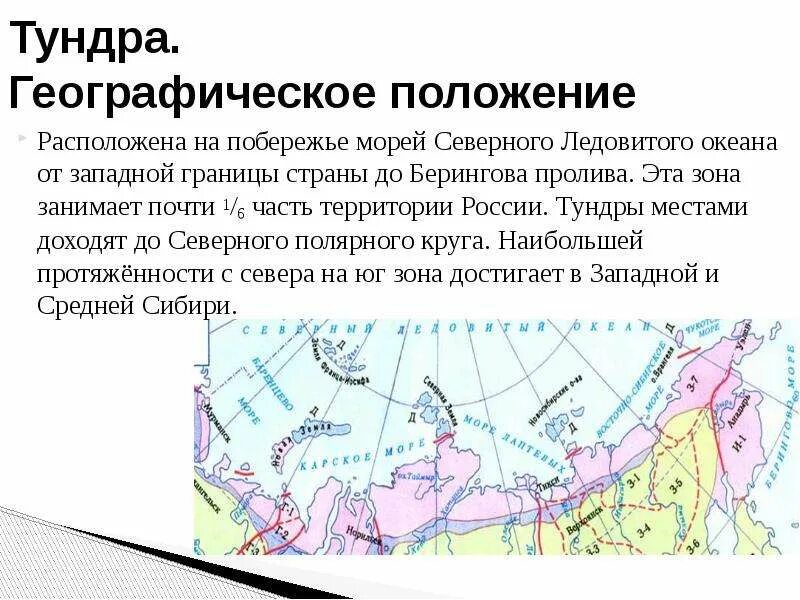 Тундра между природными зонами. Географическое положение тундры в России. Тундра географическое положение в России на карте. Географическое положение зоны тундры. Географическое положение лесотундры в России на карте.