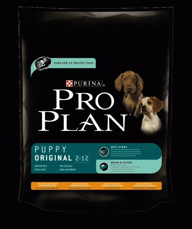 Plan puppy