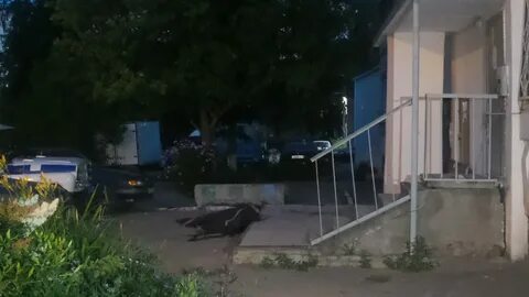 В екатеринбурге упал ребенок