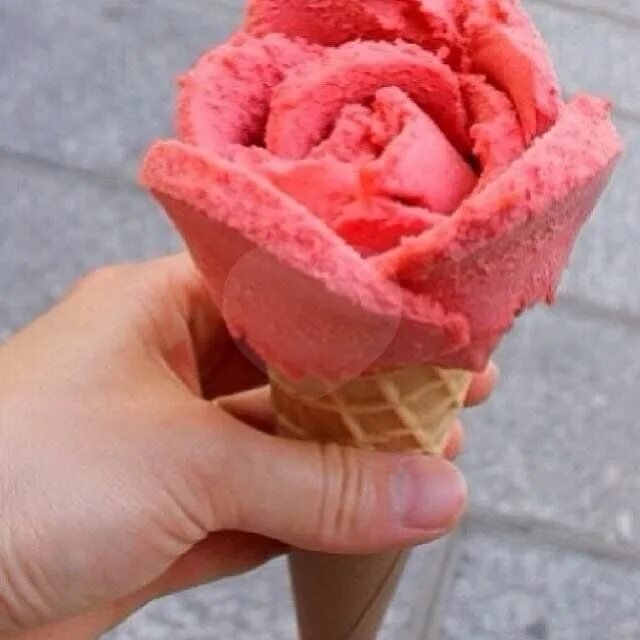 Rose ice cream. Самое красивое мороженое. Rose ice cream. Мороженое из роз. Мороженое розовый.