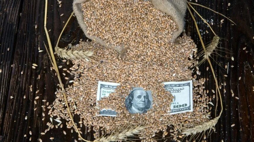 Запасы зерна. Турция зерно. Рф турция зерно. Погрузка зерна на судно. Россия и турция.
