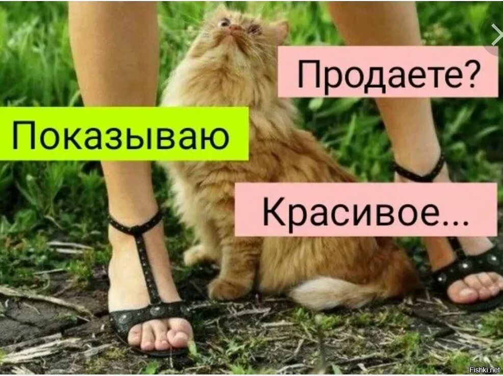 Продаете показываем красивое