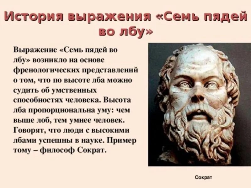 Семь пядей во лбу. Выражение семи пядей во лбу. Семи пядей во лбу фразеологизм. Фраза семь пядей во лбу.