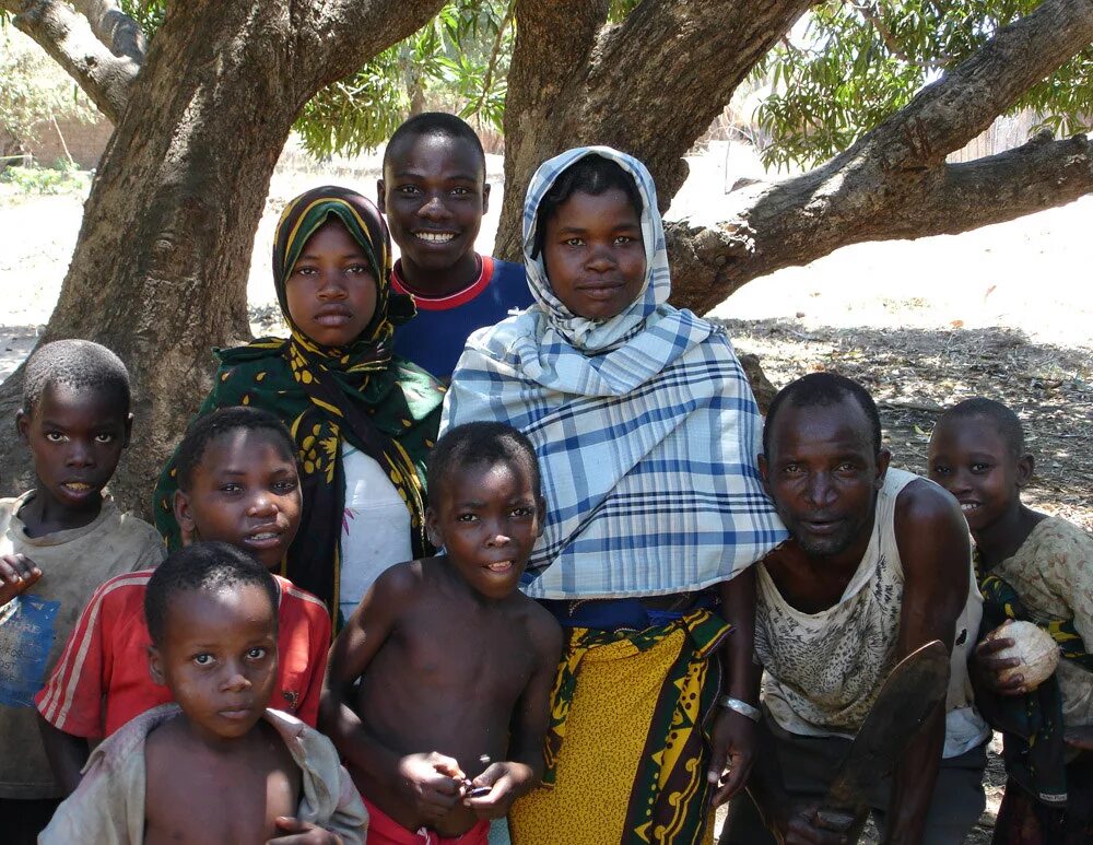 мозамбик языковая семья