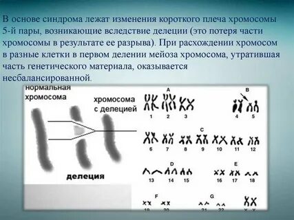 Молекулярный кариотип