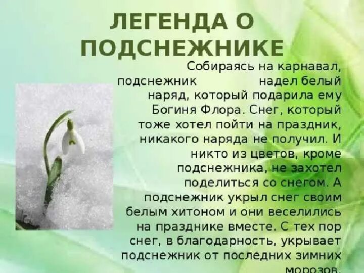 Сказка про подснежник для детей. Легенда о подснежнике. Легенда о подснежнике для детей. Легенды о цветах Подснежник. Легенды о подснежнике для дошкольников.