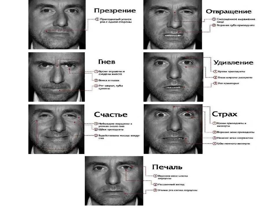 Что можно понять по мимике