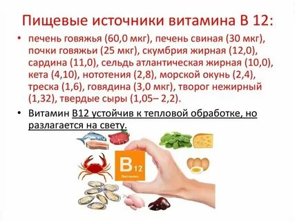 Продукты содержащие витамин б12