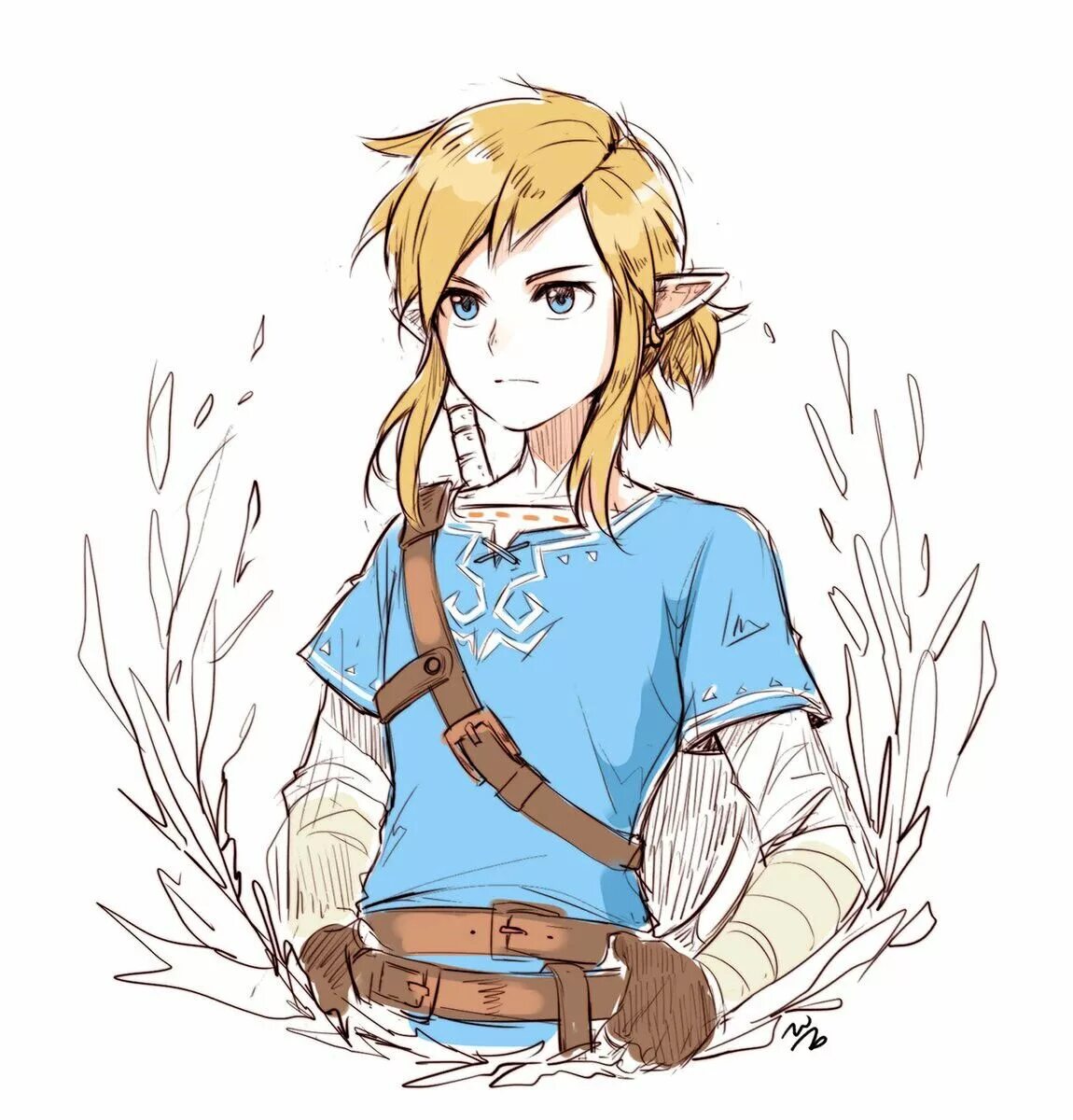 Learned link link. Линк Breath of the Wild. Линк Зельда Legend of Wild. Линк Легенда о Зельде Breath of the Wild. Линк и Зельда BOTW.