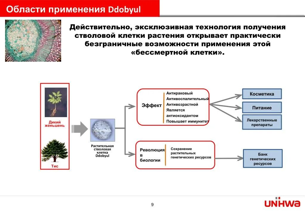 Сохранение генетических ресурсов. Сохранение генетических ресурсов растений. банк данных генетических ресурсов. порядок метода витрификации криосохранение растений.