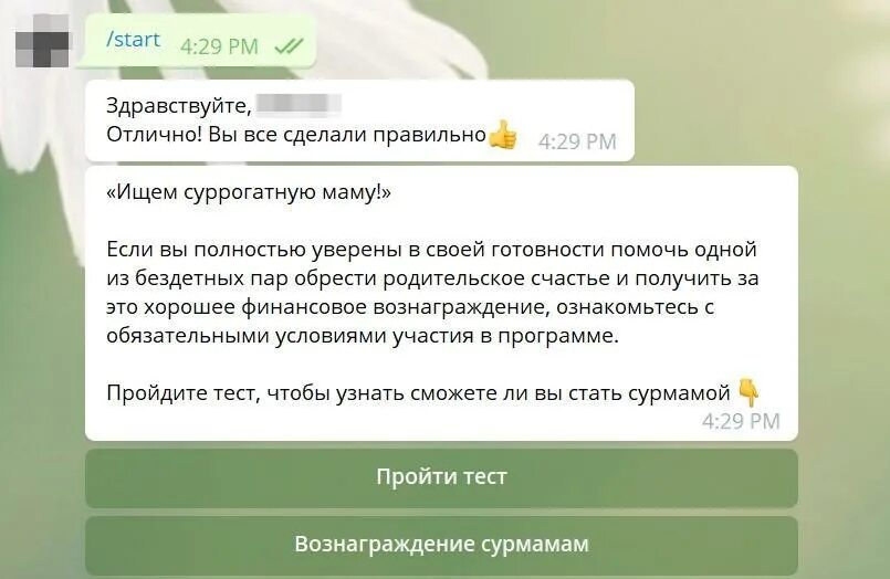 Приветственное сообщение примеры. Приветственное сообщение. приветственное сообщение для бота. приветственное письмо в боте. чат бот приветственное сообщение.