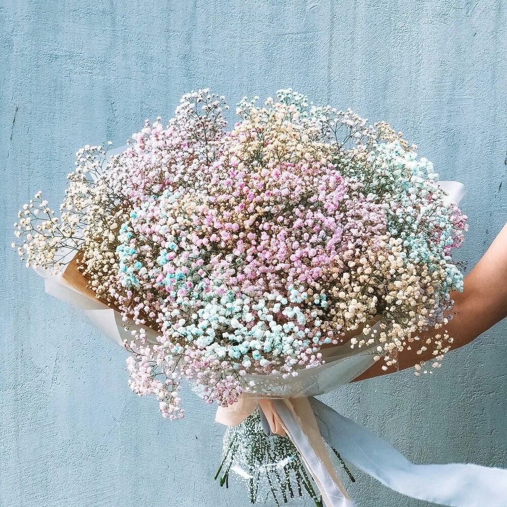 Гипсофилы сколько стоят в воде. Гипсофила белая. Гипсофила белая банч. Гипсофилы сколько стоят в воде. Гипсофилы сколько стоят в воде.