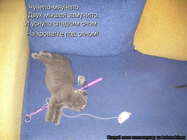 Лиса чучело. Ты чучело. Лиса сидит на стуле. Чучело мяучело в хорошем качестве. Михаил яснов стих чучело мяучело.