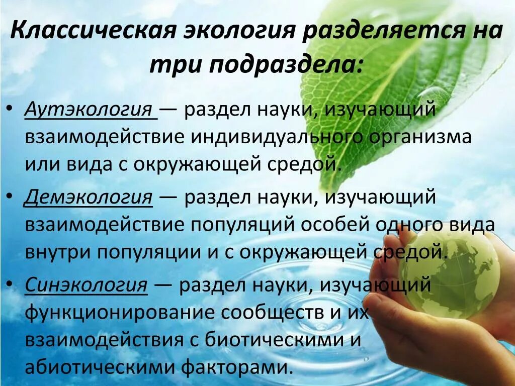 Примеры изучения экологии. Классическая экология. Что изучает классическая экология?. Классическая экология примеры. Классическая экология это кратко.