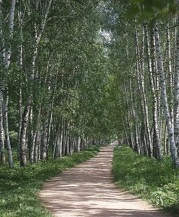 Кто такие поляне