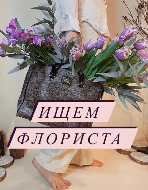 Цветы ищем