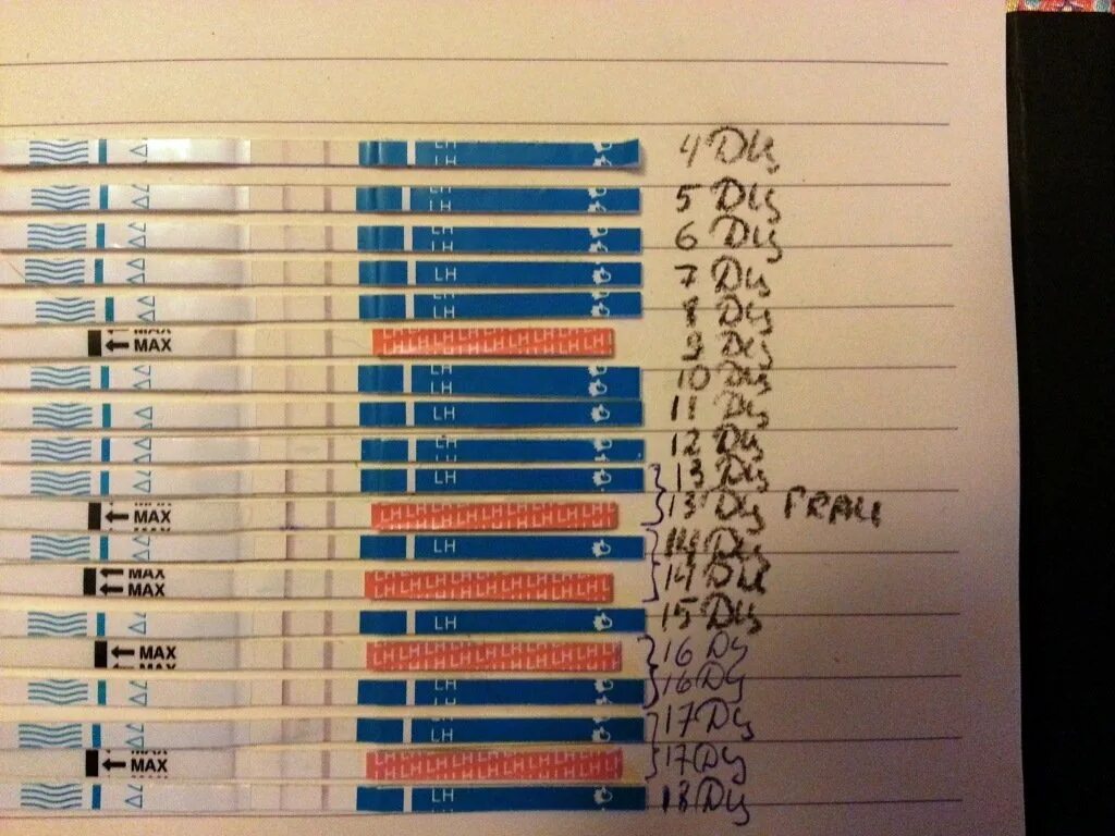 Забеременеть за 4 овуляцию. Тест на беременность до месячных. Тест до месячных. Тест на овуляцию. Тест на беременность за 2 дня до месячных.