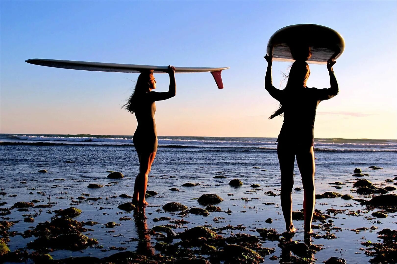 Summer vibes lxfty. Summer vibes lxfty