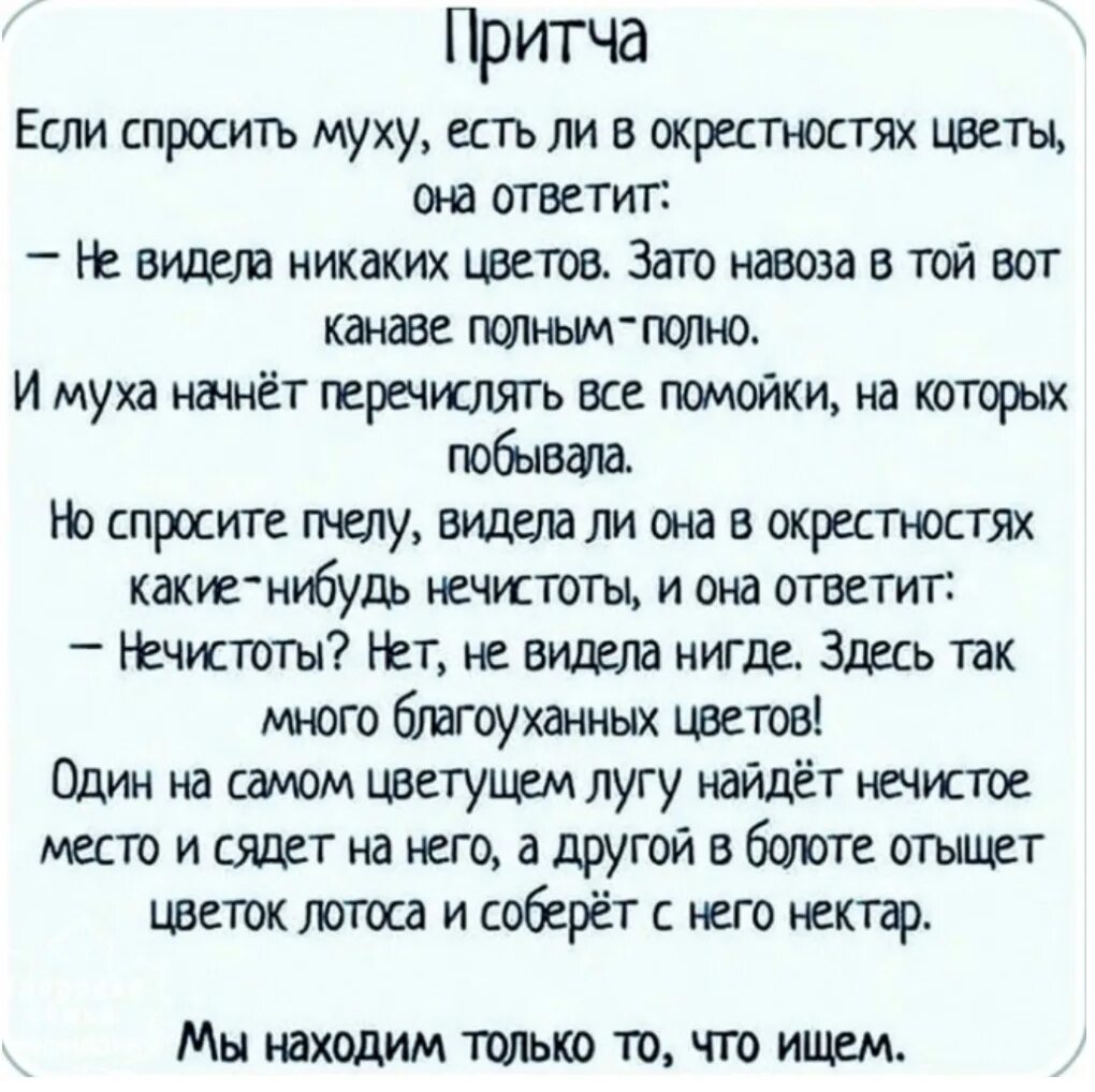 Притча про мух. Если спросить муху есть ли здесь в окрестностях цветы. Паисий Величковский о мухе и пчеле. Наберут мух а спрашивают как с пчёл картинка.