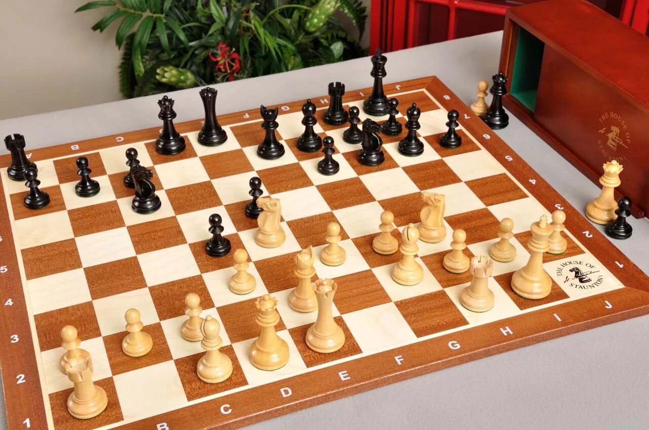 Шахматы. Chess rules of the game. Кшиштоф дуда шахматист. Играющий в шахматы. Павел леонидович чесс.