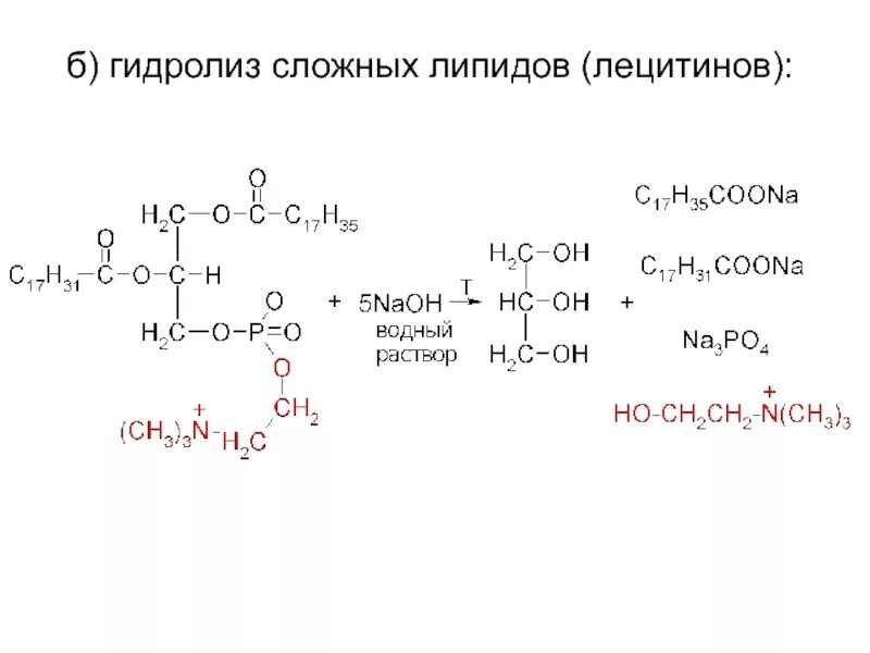 При щелочном гидролизе образуется. Щелочной гидролиз лецитина реакция. гидролизе фосфолипида лецитина. кислотный гидролиз лецитина реакция. щелочной гидролиз фосфолипидов реакция.