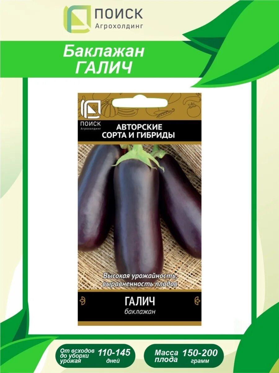 Баклажан Галич: описание и отзывы. Мой опыт выращивания