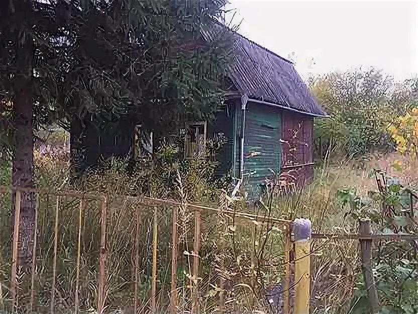 Погода в дивенской ленинградской области на неделю. Дивенская СНТ Дружба. Садоводство Дивенская Лужский район. СНТ Радуга Дивенская. СНТ Строитель Дивенская.