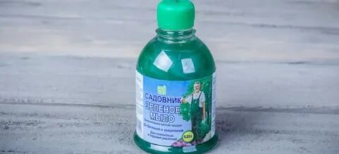 Обработка теплицы зеленым мылом