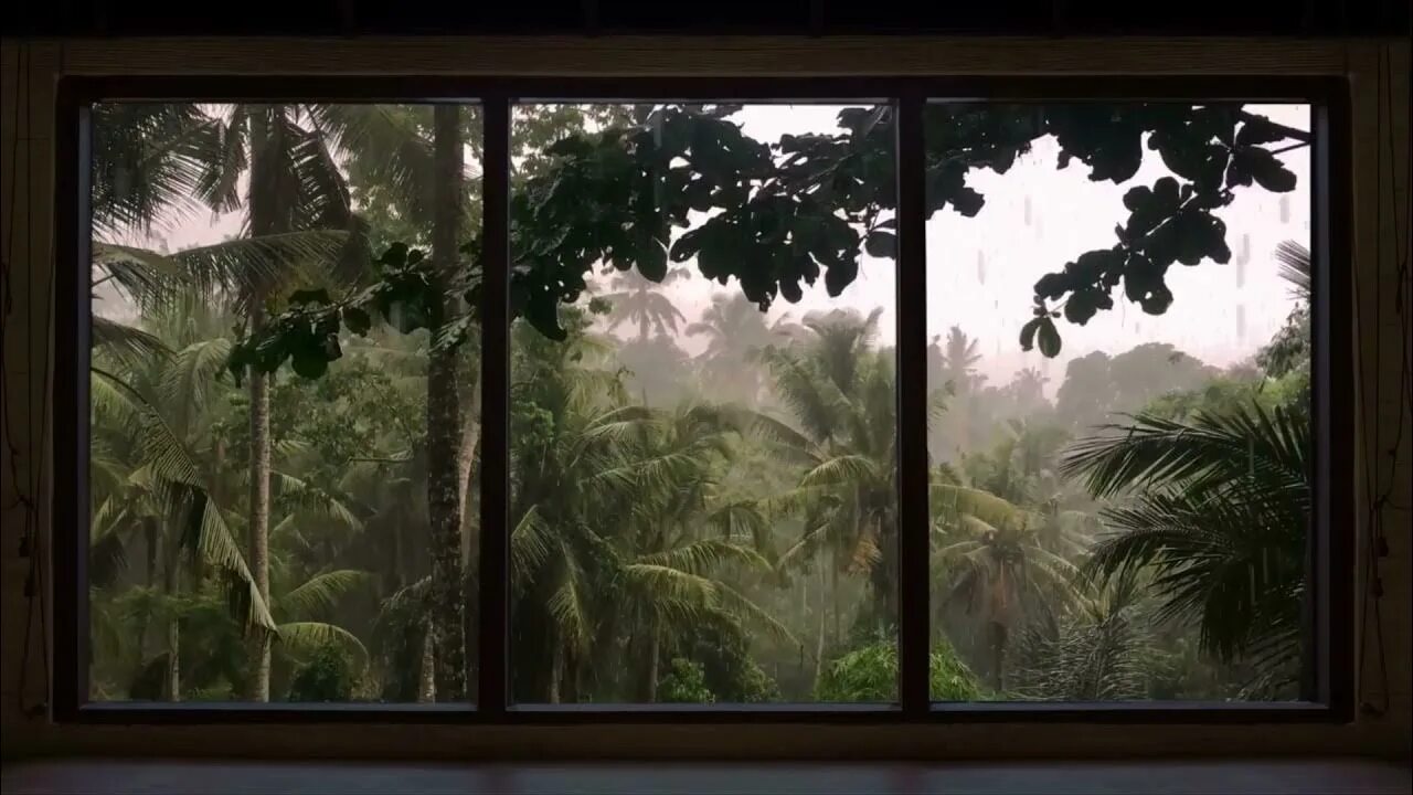 Fake window. More fake windows проектор. окно в прошлое инсталляции стихия. rataskaevu 16 fake window. 24/7 in an exclusive luxury miami condo heavy rain thunder rain on window.