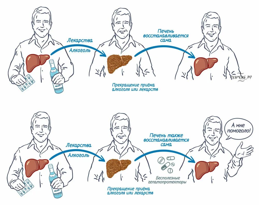Как восстановиться после приема. Восстановление печени. Восстанавливающий печень. Таблетки для печени восстанавливающие после пьянок.