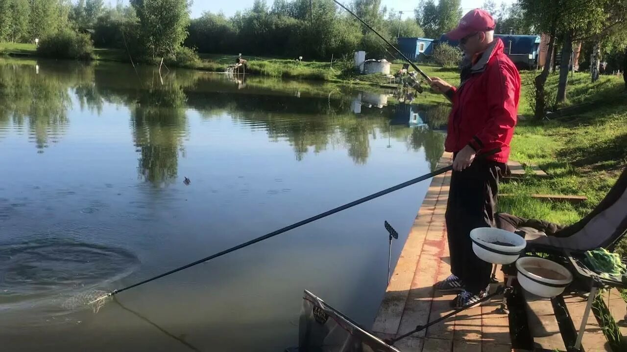 Река Педня Рузский район. Петряиха платная рыбалка. Платник Петряиха фишка. Река Педня Волоколамский район. Клев на рузском водохранилище