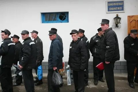 Управляющий колонии