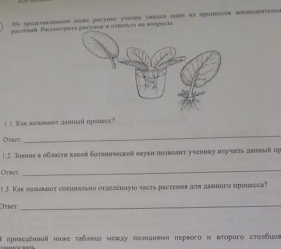 Рассмотрите рисунки как называются