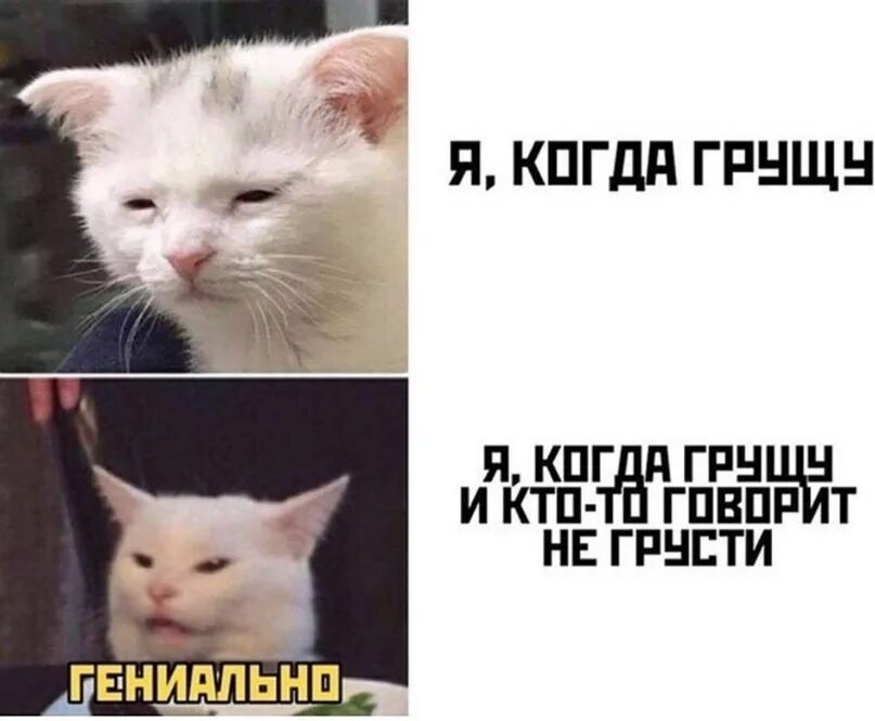 Мальчик я сразу говорила ты не очень. Цитаты для девушек с характером. Парень я не причём. Алиса демотиватор. Истину говариш.