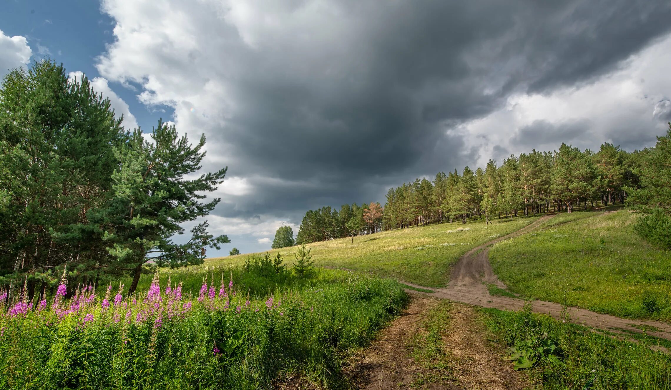 Грядки-клумбы мавританский дворик. Ландшафт на даче. На дачу еду пригорок. Деревня мегра вологодская пейзаж. На дачу еду пригорок.