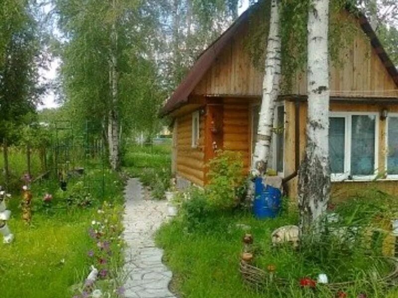 дачи 5 километр. продажа дач в илийском районе алматы байсерке. снт прибой ленинградская область. дачи 5 километр. снт снт южное кемерово.