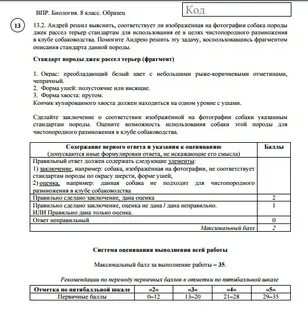 Впр по биологии 8 класс разбор заданий