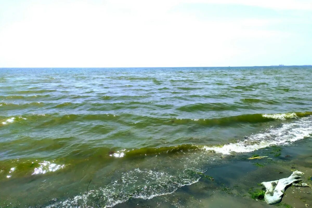 Каспийское море является самым. Каспийское море пляж. пляжи на каспийском море. берег каспийского моря. отдых на море.