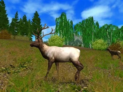 Список игр the hunt