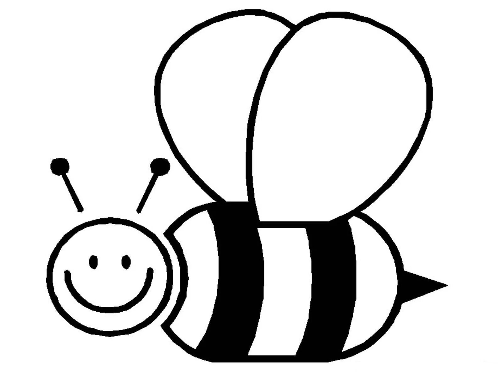 Черно белые картинки для детей раскраска. Пчела раскраска. Пчела раскраска для детей. Раскраска пчёлка для детей. Раскраскаидля малышей.