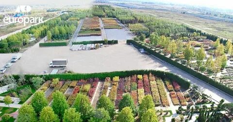 Питомник растений парк