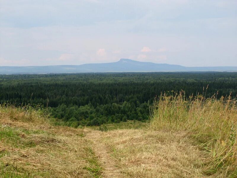Чердынь гора. Чердынь гора полюд. чердынь полюдов камень. гора полюд вид из чердыни. вид на полюд из чердыни.