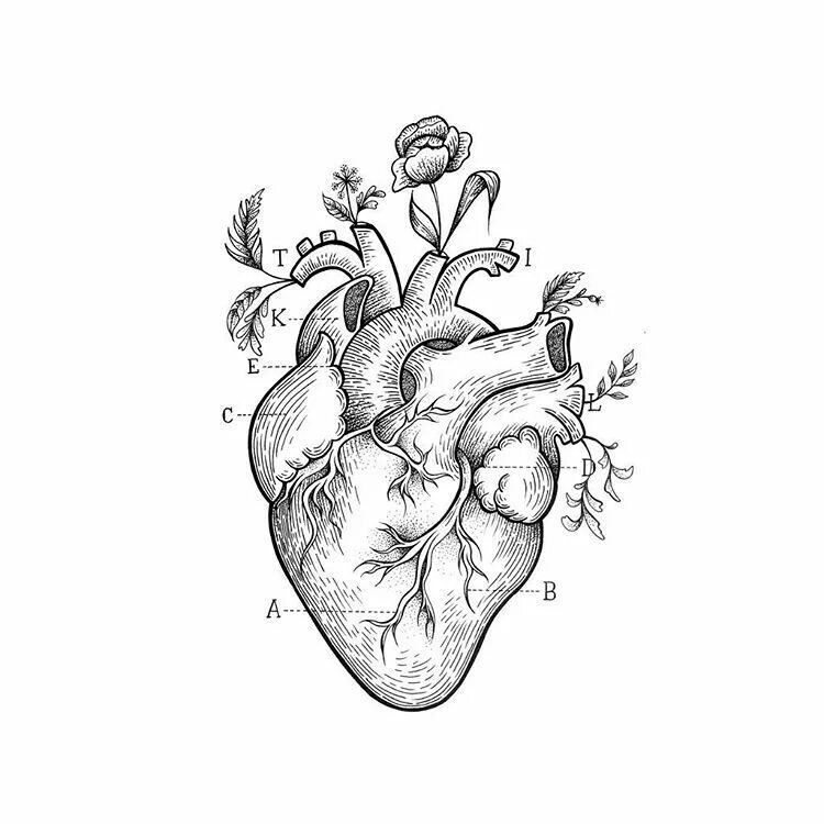 Маленькие сердечки на листе. Интерактивный рабочий лист. Рабочий лист сердце. Сердечко трафарет для вырезания. Лист для письма с сердечками.