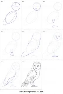Как нарисовать белого поэтапно