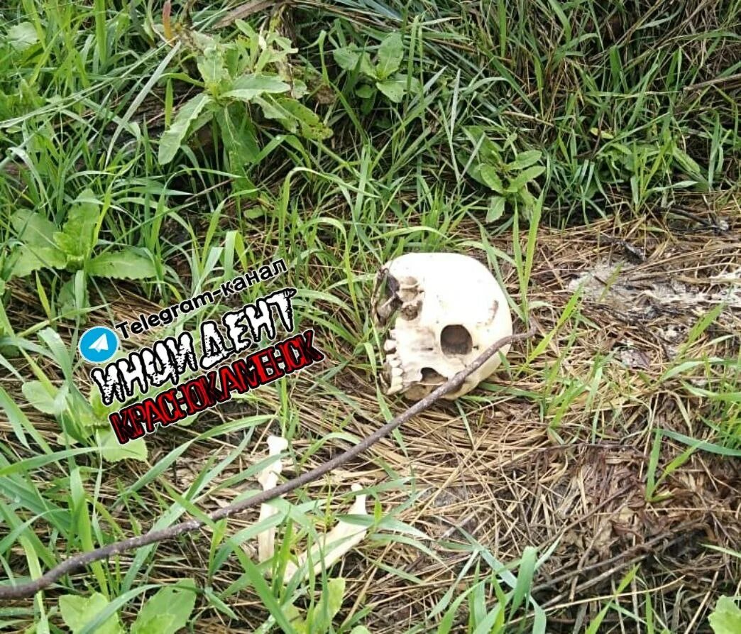 находка краснокаменск. поселок октябрьский краснокаменский район. находка краснокаменск магазин. находка краснокаменск. тц даниловский краснокаменск.